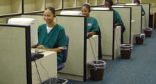 medical coders working in cubicles